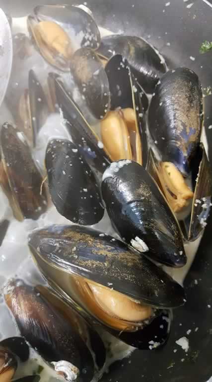 Food Gallery Seabeats